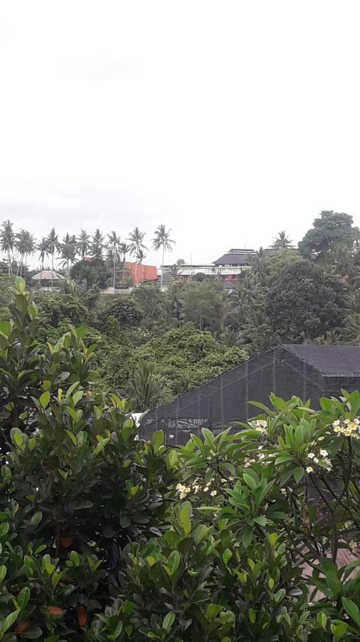 Waterfall Guest House Sukawati  Exterior photo